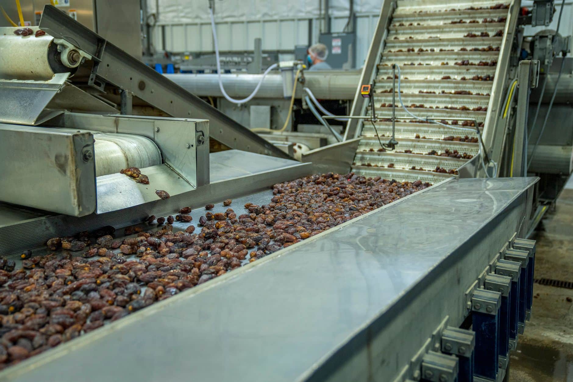 Food processing conveyor running the full length of a production line